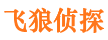 洪雅市调查公司